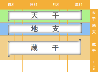 命式表の天干、地支、蔵干　四柱推命