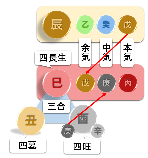 蔵干　蔵干の流れ解説