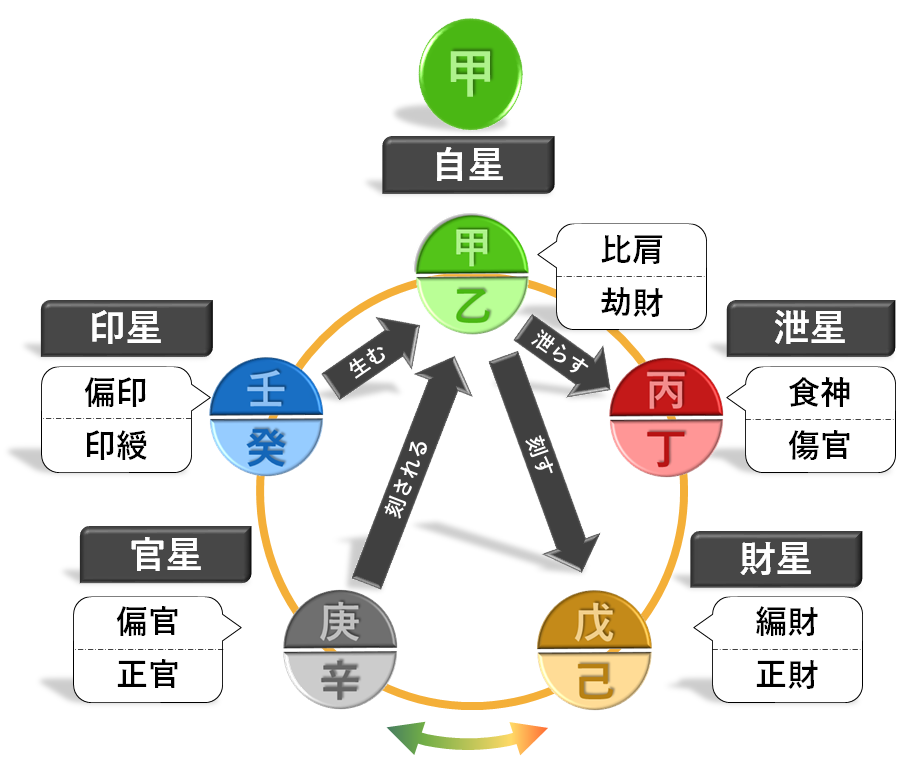 甲の通変星　四柱推命